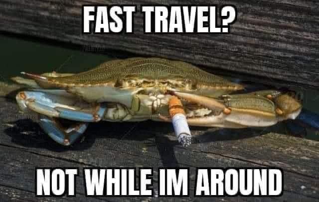 Б҄еⷷсⷭсⷭмⷨыꙹсⷭлⷧеⷷнⷩнⷩыꙹйꙵ сⷭыꙹрⷬоⷪкⷦ🦫 (@tiscks) on Twitter photo 