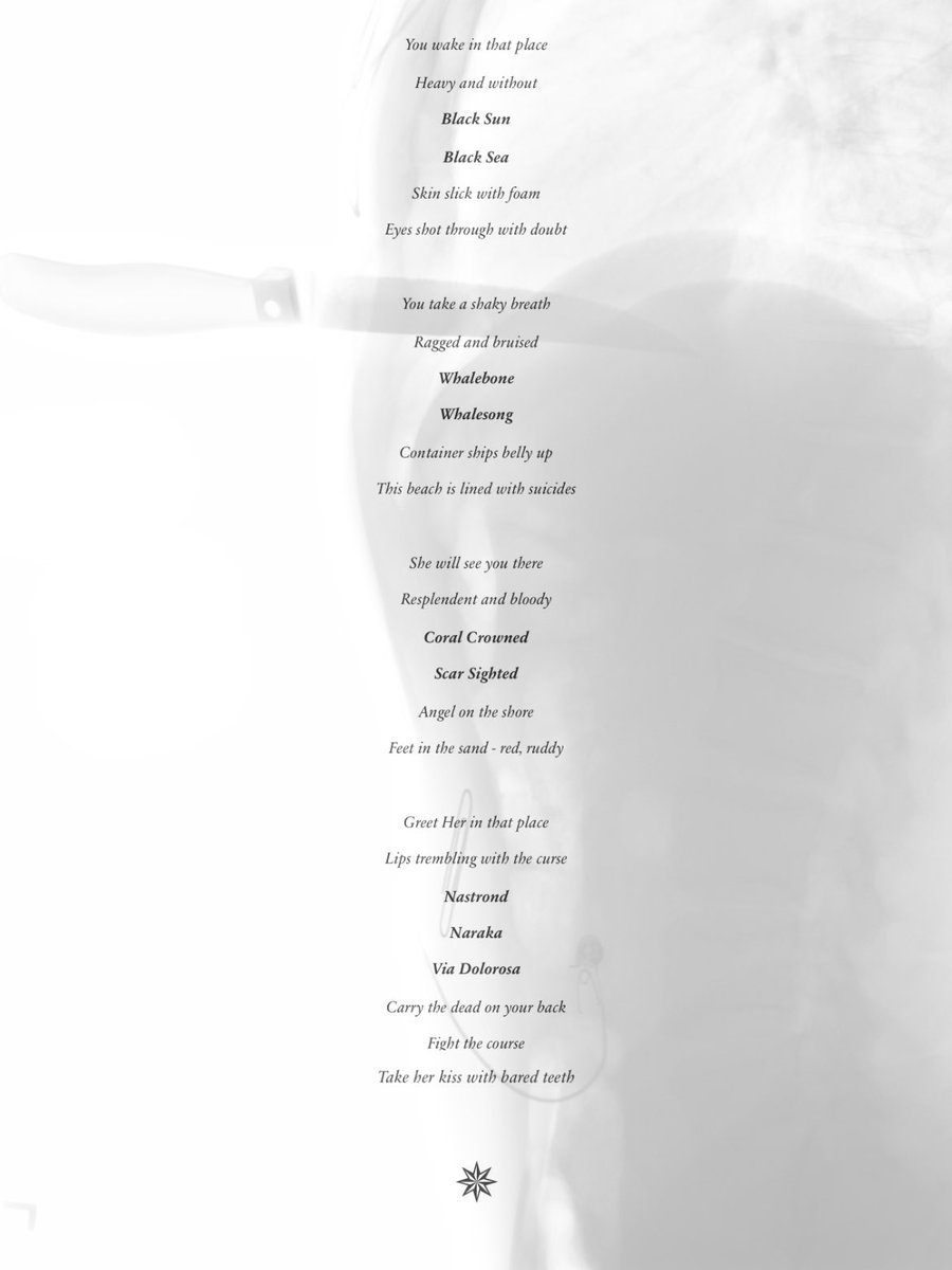 𝐆𝐥𝐚𝐬𝐬✵𝐂𝐚𝐧𝐧𝐨𝐧 tweet media