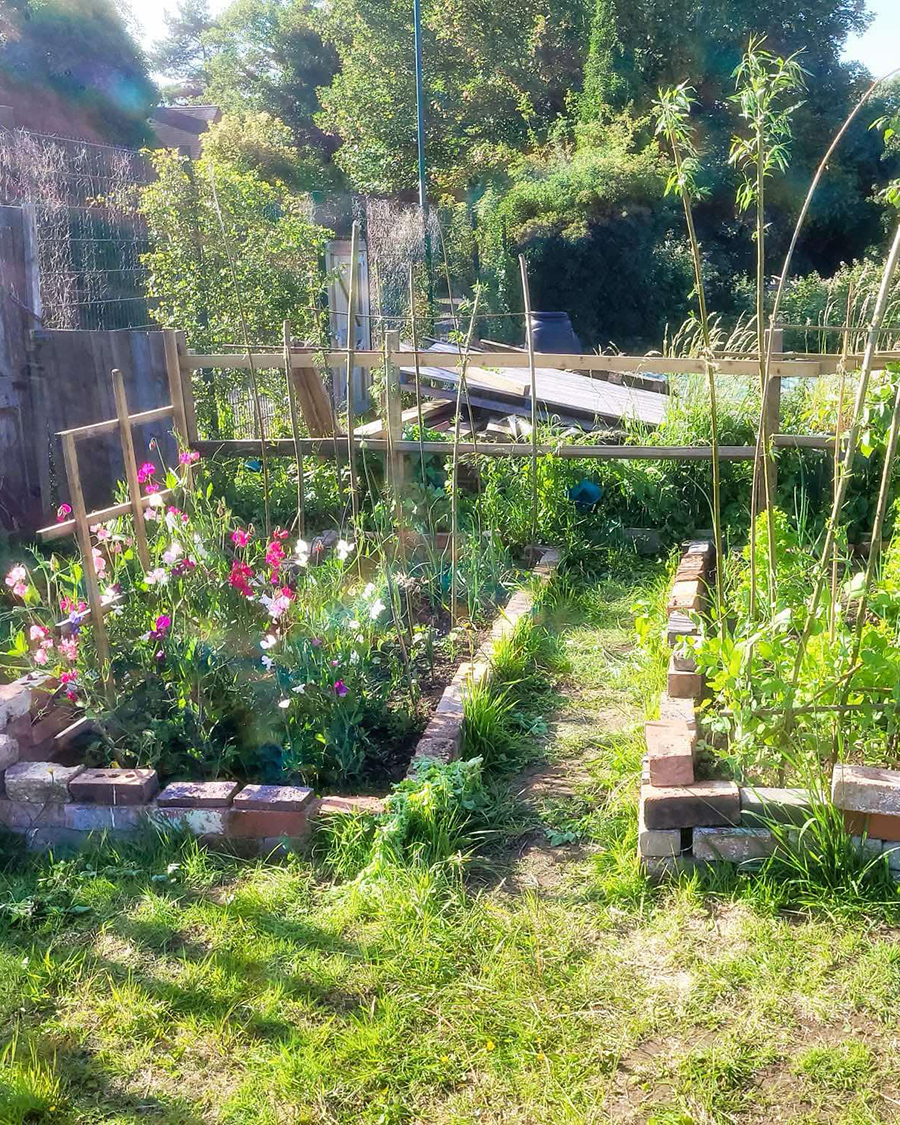 🌼 Gardening &amp; DIY course participants at our Little Walled Garden made their own tools, planted and harvested produce - including potatoes that we donated to a local care home 💚

Our last course is on Tuesday 8 &amp; Friday 11 July! Sign up 👇
ow.ly/WGoI50Whp6t

@mynottingham