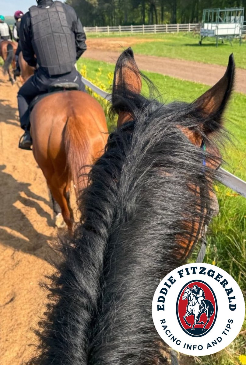 racing_tips_'s tweet photo. 🚨 If you’re not on the Patreon yet – you’re missing out. 🚨

You can now join as a FREE MEMBER — no card details, no catches.
✅ Get access to some VIP bets for free
✅ Get all last-minute bets – only posted on Patreon, not Telegram
✅ Be first in line when the big ones land

And right now I’m offering a 7-day free trial of the full VIP tier too. That’s every write-up, every bet, max plays and all.

👉 If you’re even thinking about it, just sign up as a free member.

Makes it easier to upgrade later, and you’ll still get value straight away.

👇👇👇
https://t.co/EN4K3uCQoR