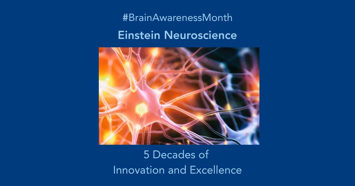 Established in 1974, the Dominick P. Purpura Department of Neuroscience is home to 100 scientists maintaining its reputation for innovative and groundbreaking research in brain function, brain behavior, and brain disease. More at bit.ly/4dVc52Q #BrainAwarenessMonth