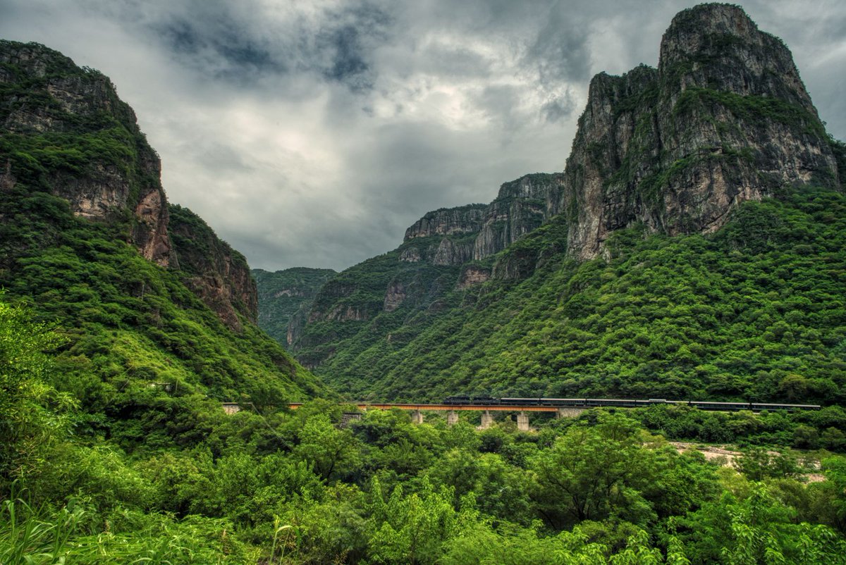 RAC1manat tweet media