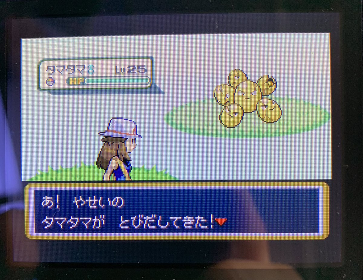 Mihninio's tweet image. ✨Shiny Exeggcute after ~10000 REs in LeafGreen!
Found it on the train on my way to a Safari Week LAN and caught it first ball!
My first Kanto Safari shiny😎
#SafariWeek2025