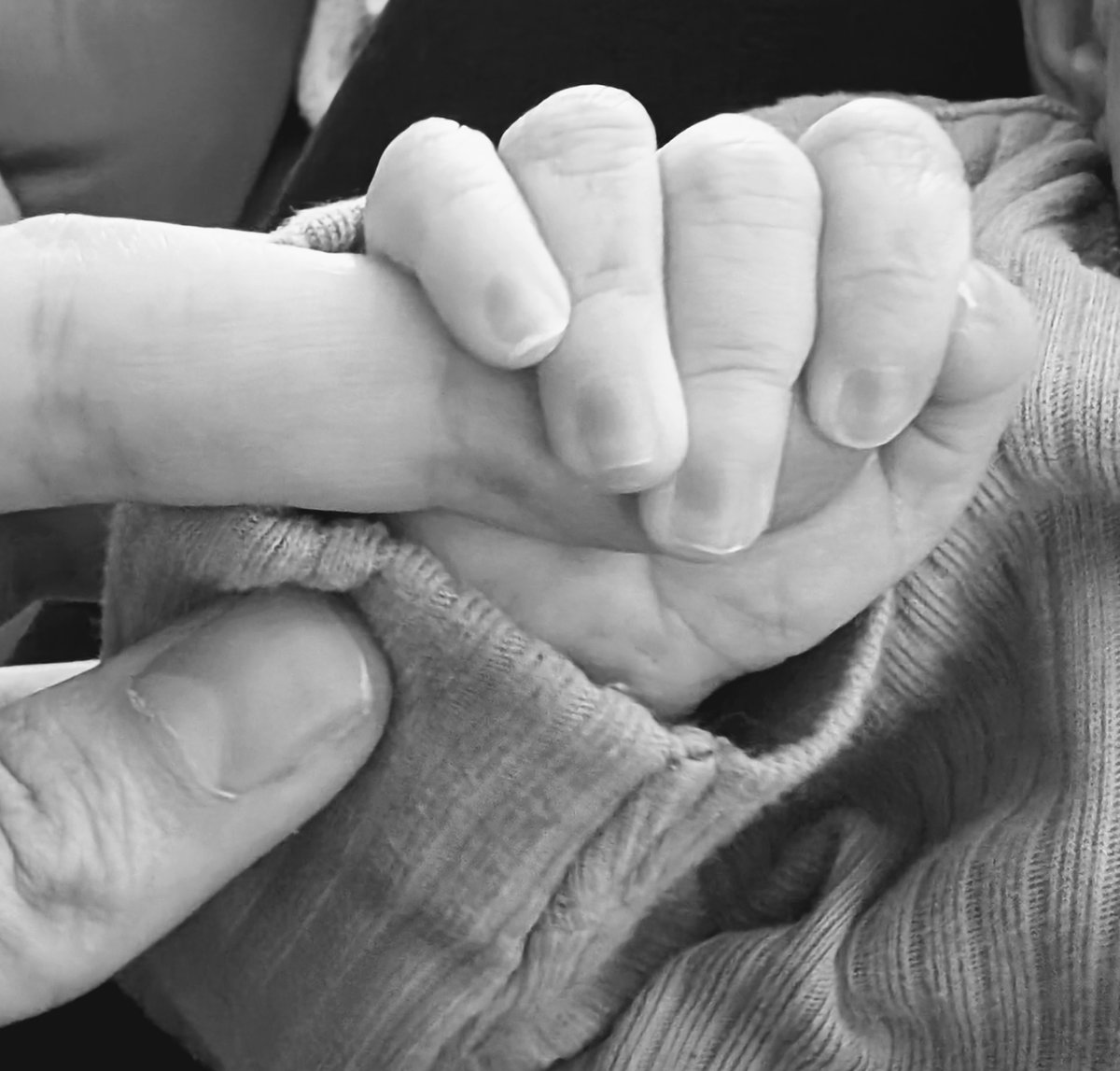 For anyone waiting for me to email them back these past couple of months, I might be a while, I'm busy looking after this wee bairn. Hands down my favourite synthesis project yet #WomenInSTEM #MatLeaveInChem