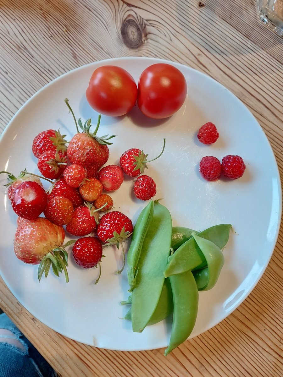27/6 120g berries, 54g tomatoes, 30g peas and a few herbs and bits and pieces...