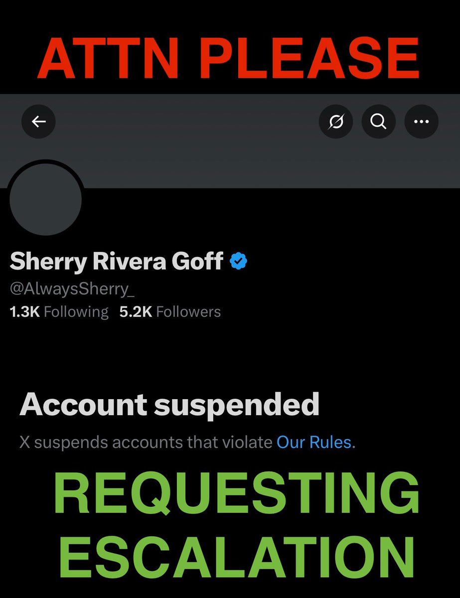 Good Human Down:

There are so many stories about how helpful and supportive Sherry is to others that I won’t bother listing them, suffice it to say, 𝕏, earth, and the Universe at large is a better place with her in it.

I am convinced this is a false positive, please escalate.