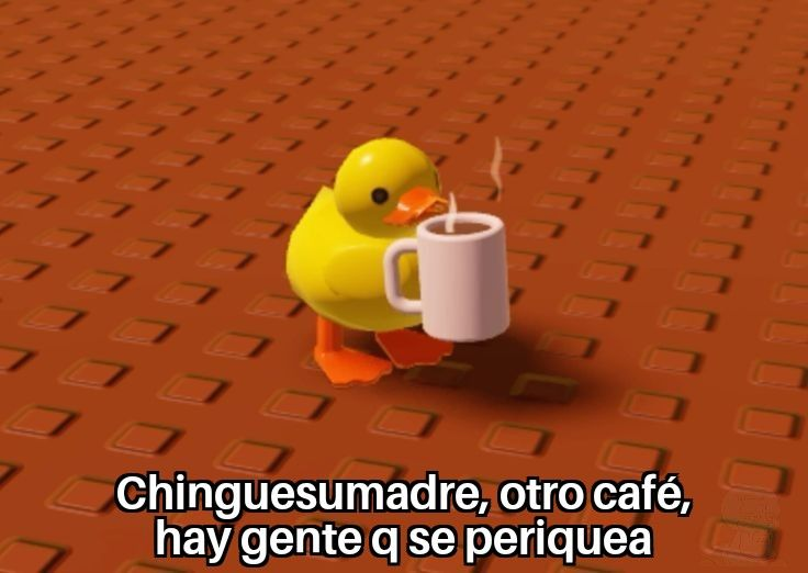 MexicoMagico's tweet image. 