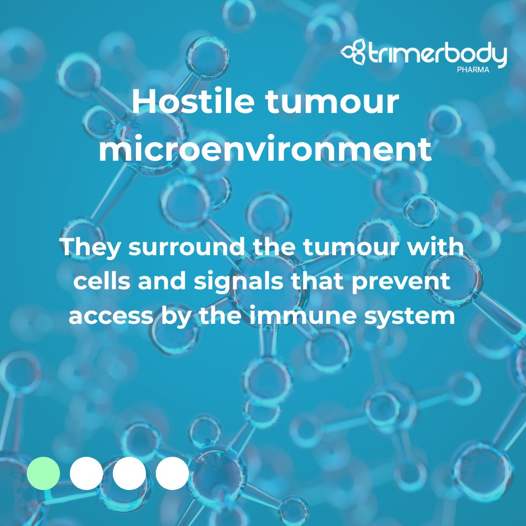 TrimerbodyPh's tweet image. Unlike haematological tumours like leukaemia, solid tumours such as breast, lung or colorectal cancer present physical and biological barriers that make treatment more challenging
Our mission: to overcome solid tumour barriers with the Next-generation agonistic antibodies