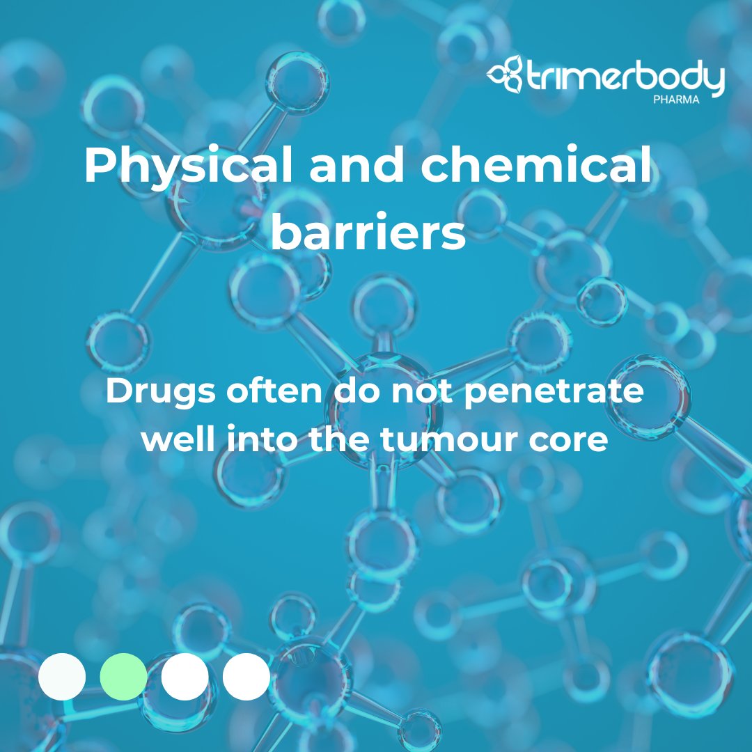 TrimerbodyPh's tweet image. Unlike haematological tumours like leukaemia, solid tumours such as breast, lung or colorectal cancer present physical and biological barriers that make treatment more challenging
Our mission: to overcome solid tumour barriers with the Next-generation agonistic antibodies