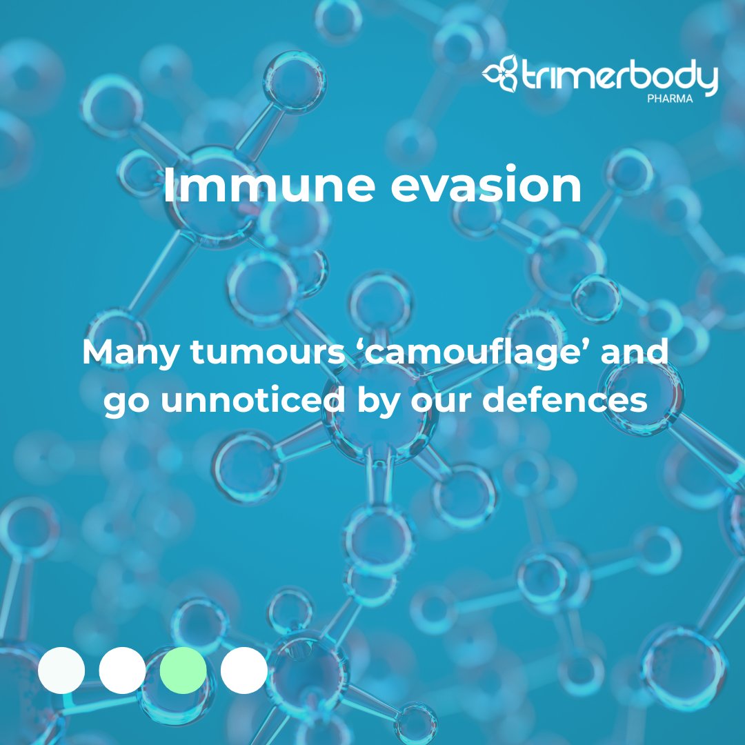 TrimerbodyPh's tweet image. Unlike haematological tumours like leukaemia, solid tumours such as breast, lung or colorectal cancer present physical and biological barriers that make treatment more challenging
Our mission: to overcome solid tumour barriers with the Next-generation agonistic antibodies