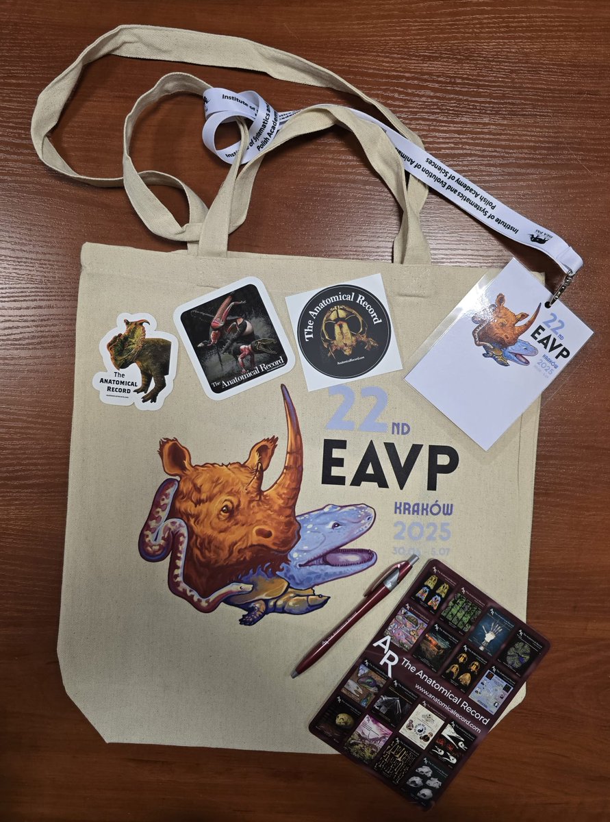 AnatRecord's tweet image. We are proud to be official sponsors of the upcoming European Association of Vertebrate Paleontologists conference (@EVAPalaeo) to be held in 30 June- 5 July in Krakow, Poland! eavp2025.wixsite.com/eavp2025