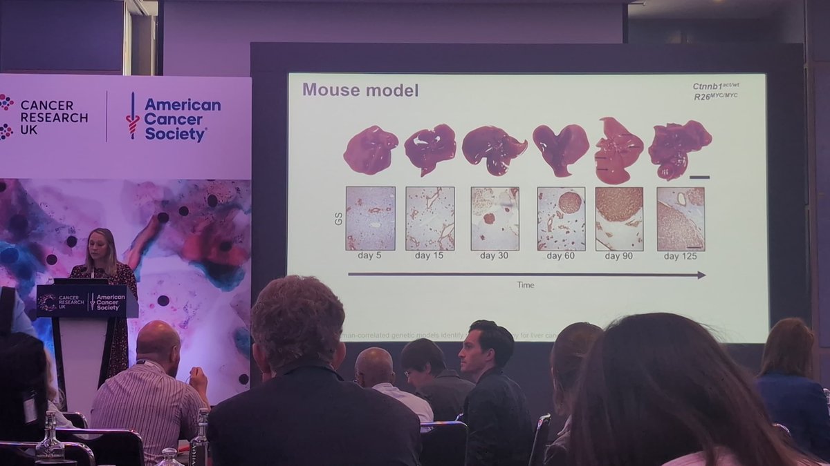 Stephanie May (@steph_may10) on Twitter photo Proud to be representing <a href="/CRUK_SI/">CRUK Scotland Inst</a> at the #prevconf25 with fellow Beatsonites <a href="/NadiaNasreddin/">Nadia Nasreddin</a> <a href="/jen_morton/">Jen Morton 🏴🇺🇦</a> <a href="/DanisThomas4/">DanisThomas</a>, showcasing our <a href="/CRUKresearch/">Science and Innovation at Cancer Research UK</a> funded work on cancer prevention in #HCC Proud to be representing <a href="/CRUK_SI/">CRUK Scotland Inst</a> at the #prevconf25 with fellow Beatsonites <a href="/NadiaNasreddin/">Nadia Nasreddin</a> <a href="/jen_morton/">Jen Morton 🏴🇺🇦</a> <a href="/DanisThomas4/">DanisThomas</a>, showcasing our <a href="/CRUKresearch/">Science and Innovation at Cancer Research UK</a> funded work on cancer prevention in #HCC