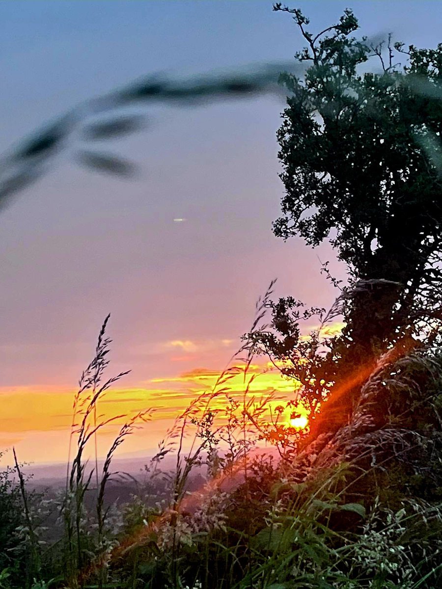 We often get asked “what’s up the hill”!?
Why not see for yourself and join our tours Saturday and Sunday at 11am!

You won’t know, unless you go!

Tickets @ uisneach.ie