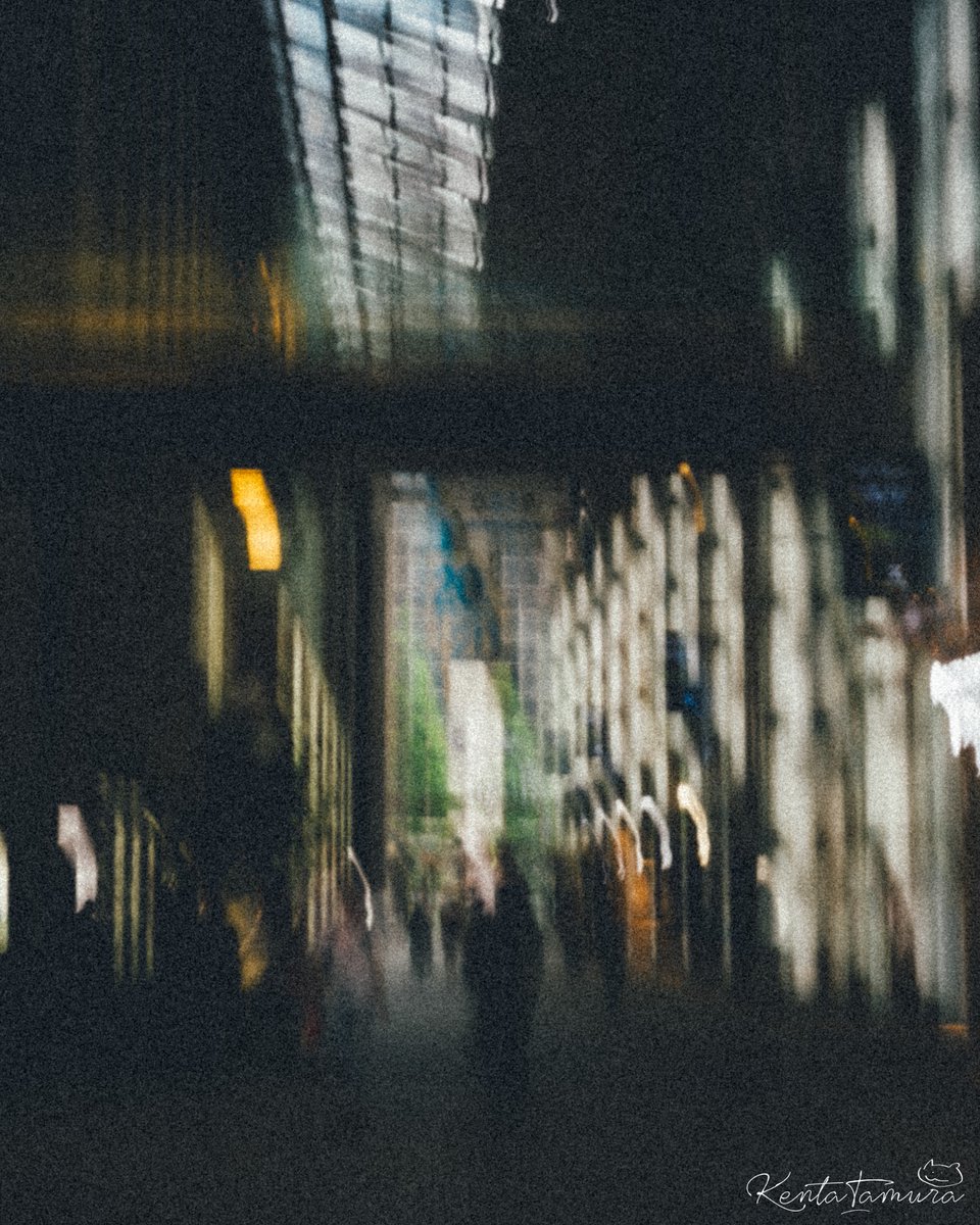 田村健太📷 (@kentatamu) on Twitter photo 