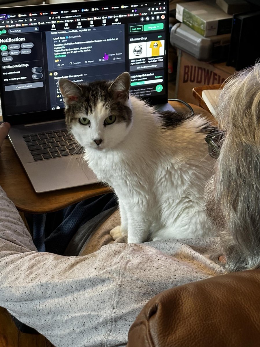 Fuck.
My day just turned from a challenge to total suck.
My elder cat, Princess, was dead in the living room when we got home from the VA.
She was nearly 17 years old.
That cat loved me as much as I loved her.
Tears will be shed.
😢🐈