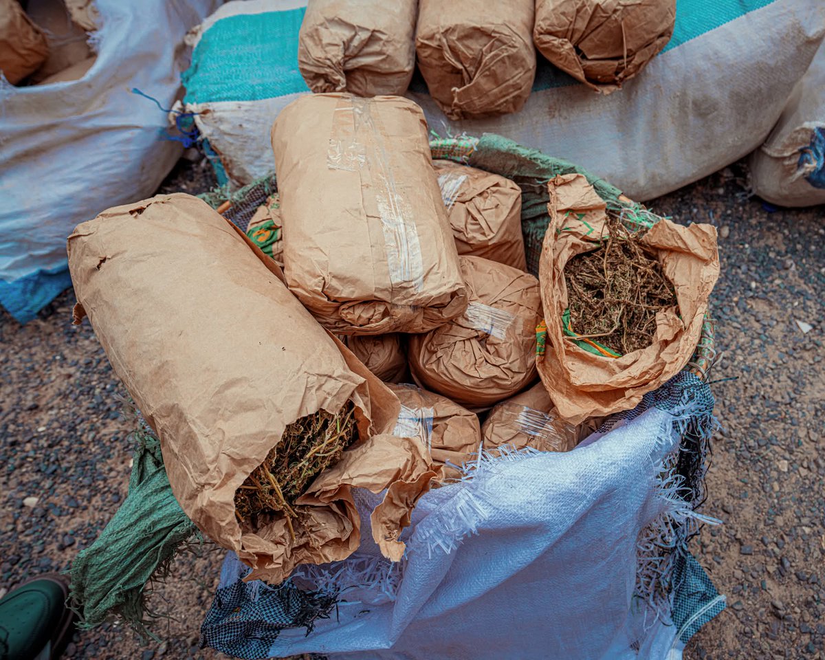 Général Tine aux FDS de Ziguinchor
« Vous avez abattu un travail colossal contre le trafic de chanvre indien »

« J’ai tenu à saluer le travail colossal accompli par les Forces de défense et de sécurité (FDS) dans leur lutte acharnée contre le trafic de drogue.

La saisie cette