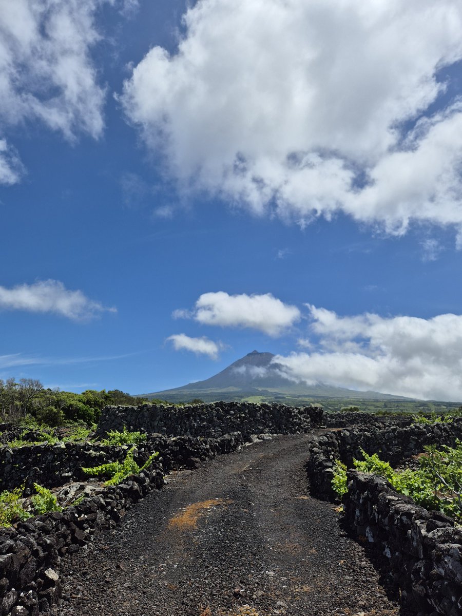 Boa Tarde Mount Pico 👋 #azores #pico