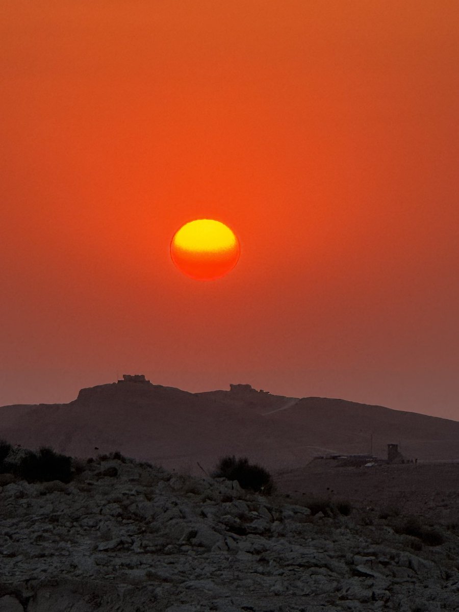 ئێوارەی ئەمرۆ لە جیای قەرەجوغ ئەم وێنانەم جرکاند... ☀️