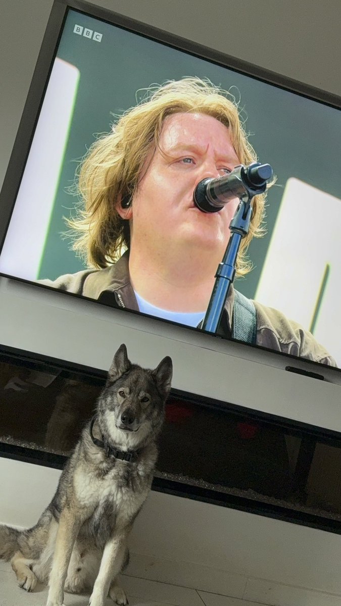 pamelamacp's tweet photo. @LewisCapaldi even my dog approves of ur new song 💜💜 https://t.co/sj0jZm72aR