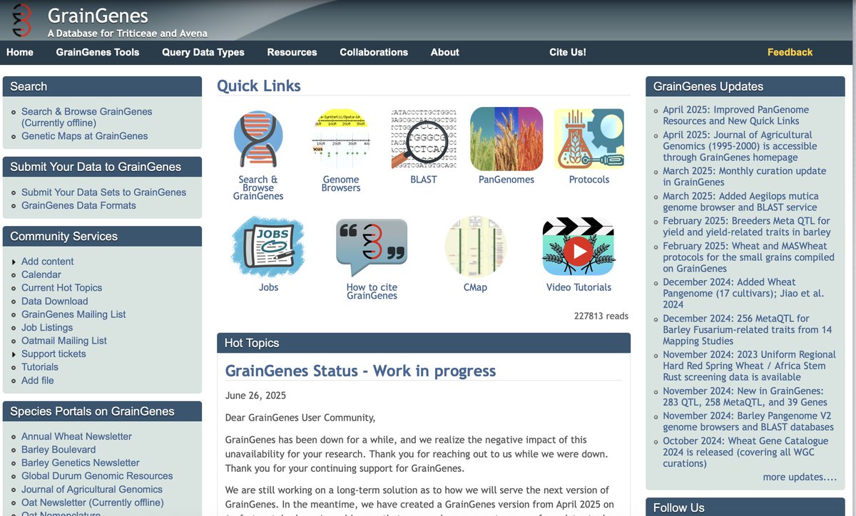 Good news: We just made a soft release at graingenes.org. Not all pages/services are working yet, but most of the stuff are there and we are working on restoring services fully. <a href="/WheatInitiative/">Wheat Initiative</a> <a href="/AMBA_Barley/">American Malting Barley Association</a> <a href="/OatNewsletter/">Oat Newsletter</a>