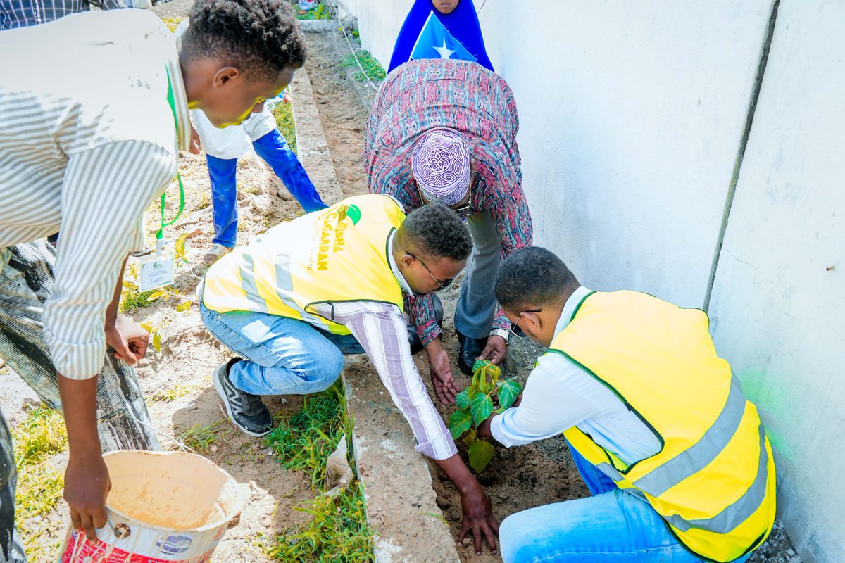 The two former Somali Members of Parliament, Prof. Dhalxa and Cusman Xasan Cusman, participated in a tree-planting activity at Sharif Qulateen School. 

It is very important for former Somali parliamentarians to support the initiative led by Bisha Cagaran, which promotes tree