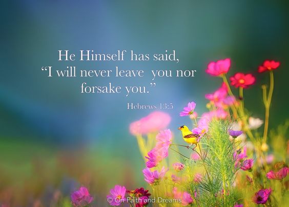 Wendy W ✝️💐🌿🌷🌿🌷🌿🌷 (@wendywatson222) on Twitter photo 