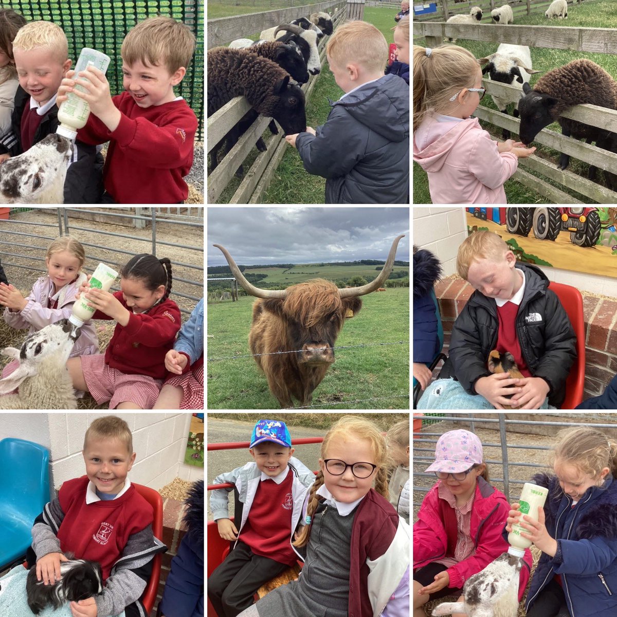 West View Primary School (@westviewprimary) on Twitter photo Year 1 had a wonderful day at <a href="/HallHillFarm/">Hall Hill Farm</a> 🐑🚜! We rode on a tractor, fed and cuddled lots of the farm animals and explored the amazing play area 🐥🐰. <a href="/AdAstraTrust/">Ad Astra Academy Trust</a> Year 1 had a wonderful day at <a href="/HallHillFarm/">Hall Hill Farm</a> 🐑🚜! We rode on a tractor, fed and cuddled lots of the farm animals and explored the amazing play area 🐥🐰. <a href="/AdAstraTrust/">Ad Astra Academy Trust</a>