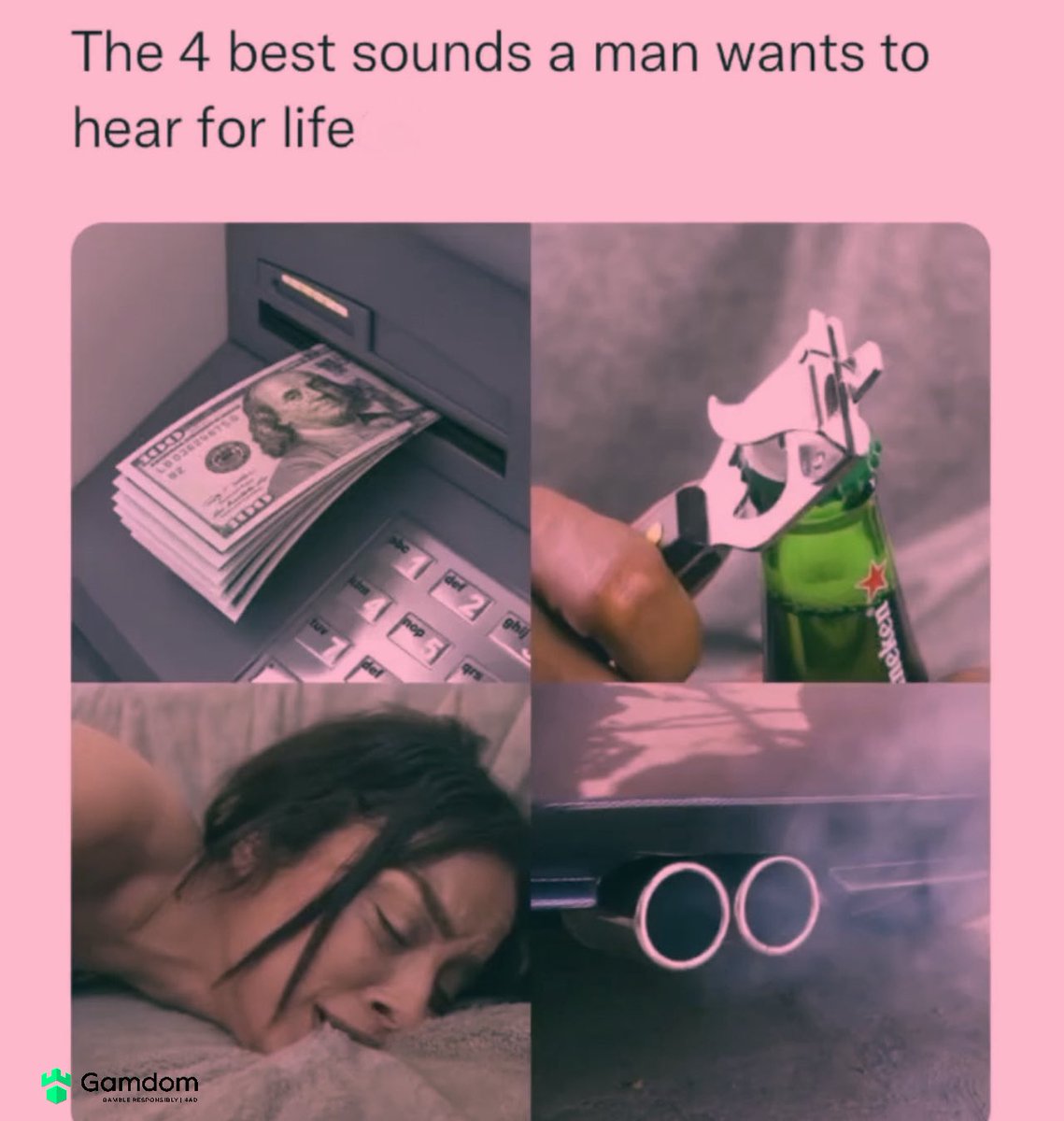 PookiesParadise's tweet image. 