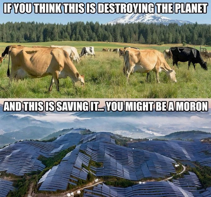 jessestand9's tweet image. Because they use perfectly good farmland, and cover with these panels.