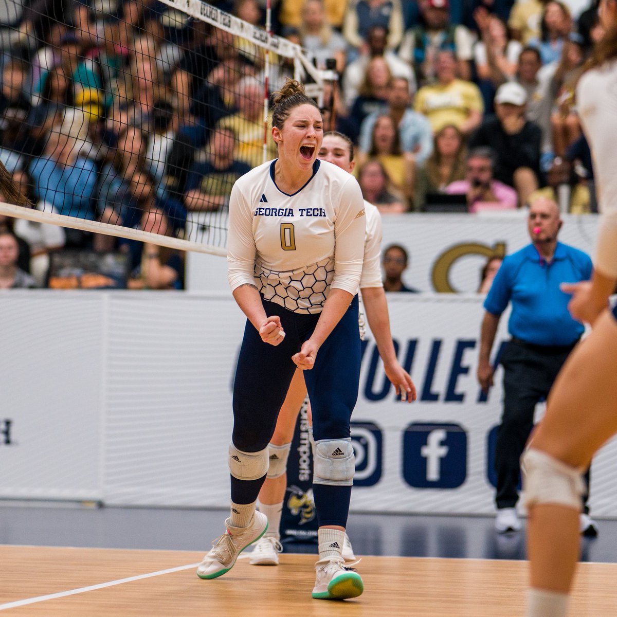 Just over✌️weeks left for you to renew your season tickets for the 2025 season!

🎟 | buzz.gt/VBRenew25
📃| buzz.gt/VBWaitlist25

#StingEm x #PointTech 🐝