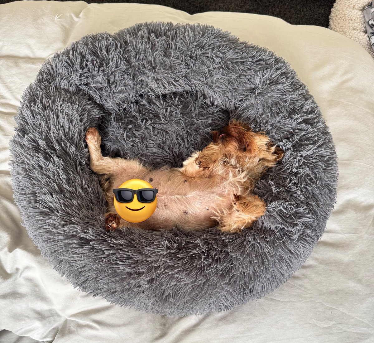 Airing me bits cos it’s so hot 🥵 #ZSHQ