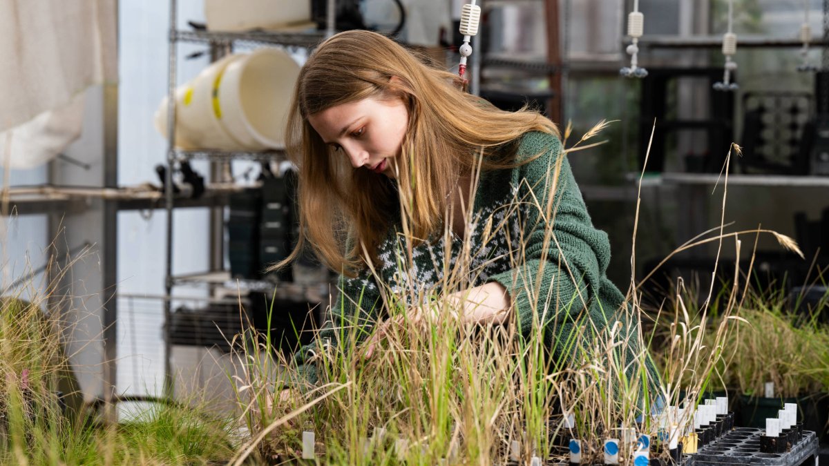 ricealumni's tweet image. Momentous isn’t just a ten-year plan — it’s a bold leap into the future. We’re setting our sights beyond the next decade, aiming to tackle the planet’s greatest challenges: energy, climate and the environment. The future needs action. momentous.rice.edu