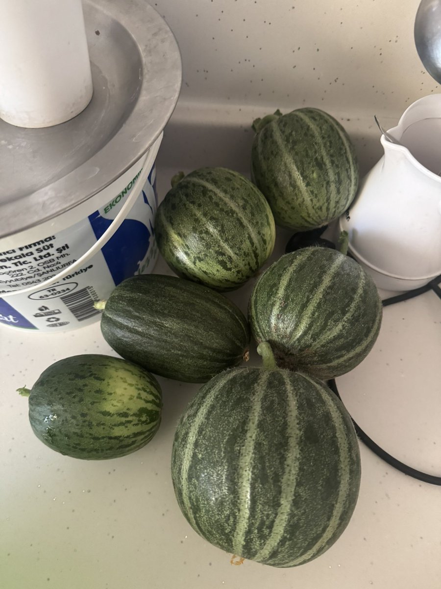 acur topladım tadı efsane😋