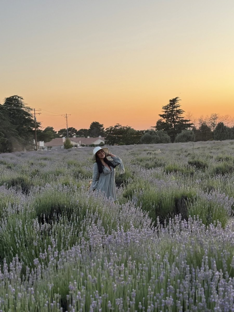 The Lavender Festival was cute🪻