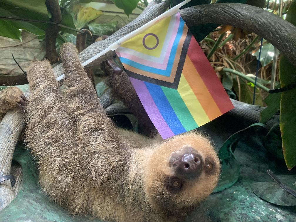Our world is made more beautiful by its diversity of species, of people, of love. 🌈🐾 We’re proud to celebrate all of it! From our animals to our incredible staff, we celebrate every being, every identity, every day. #HappyPrideMonth ❤️
