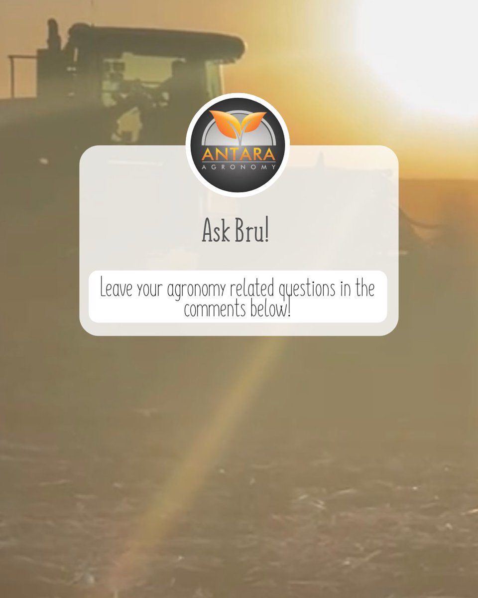 Do you have questions? Looking for answers, but not sure who to ask? Ask an expert!  Leave you questions below and Bru will answer them in our #FieldTalkFridays !

#AntaraAgronomy #AgronomyQuestions #FieldTalkFriday #Askanexpert #RedRiverGuru #SouthernMB