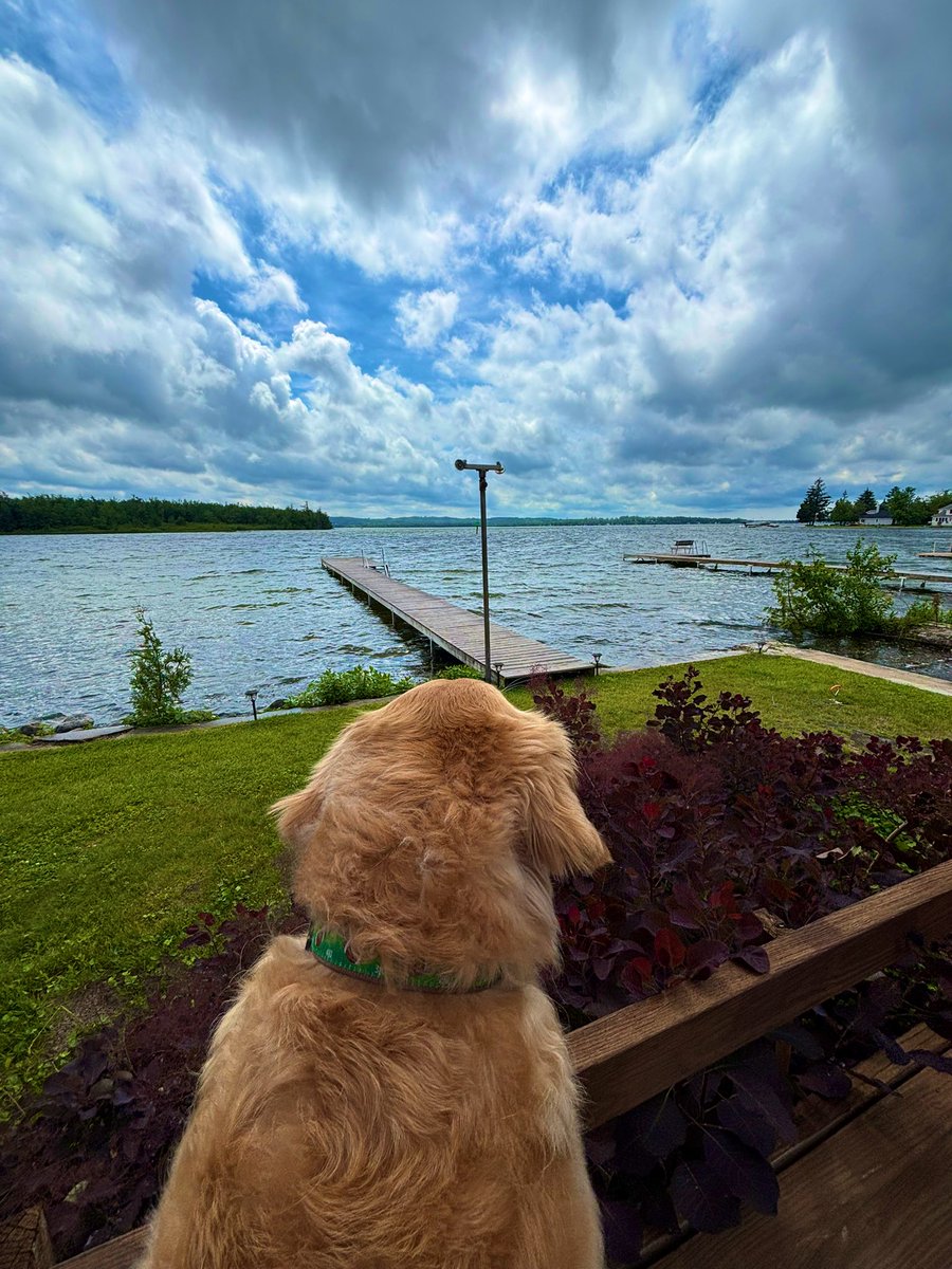 Wes Fleming (@fleming_coach) on Twitter photo Michigan summers >>> Michigan summers >>>