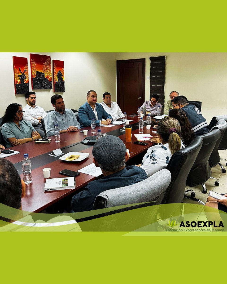 asoexpla's tweet image. En reunión técnica del @mag_ecuador,  presentamos una hoja de ruta sugerida ante crisis platanera:

✔️ Levantamiento técnico
✔️ Plan de incentivos
✔️ Créditos diferenciados
✔️ Fomento de siembras sostenibles

Se abordó la escasez, el alza del consumo y la demanda internacional.