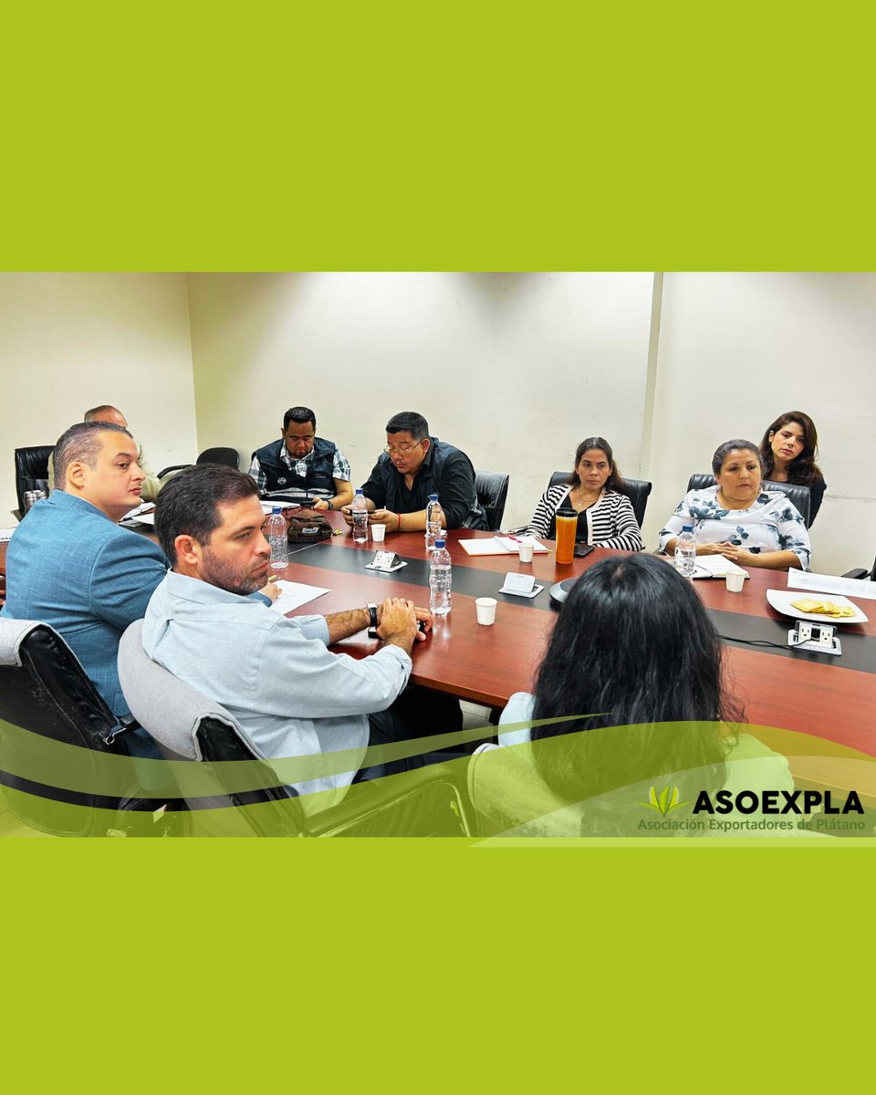 asoexpla's tweet image. En reunión técnica del @mag_ecuador,  presentamos una hoja de ruta sugerida ante crisis platanera:

✔️ Levantamiento técnico
✔️ Plan de incentivos
✔️ Créditos diferenciados
✔️ Fomento de siembras sostenibles

Se abordó la escasez, el alza del consumo y la demanda internacional.