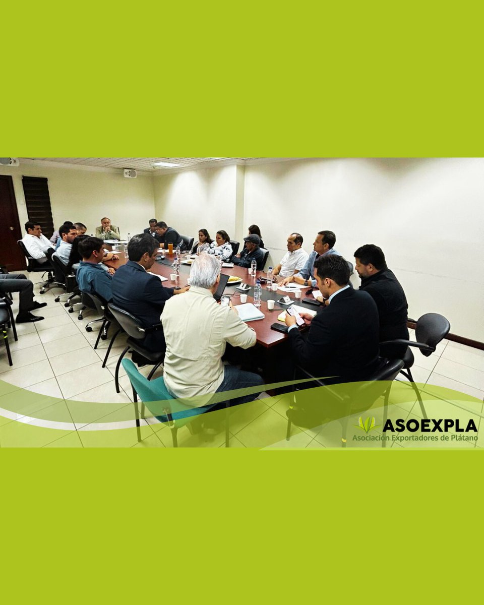 asoexpla's tweet image. En reunión técnica del @mag_ecuador,  presentamos una hoja de ruta sugerida ante crisis platanera:

✔️ Levantamiento técnico
✔️ Plan de incentivos
✔️ Créditos diferenciados
✔️ Fomento de siembras sostenibles

Se abordó la escasez, el alza del consumo y la demanda internacional.