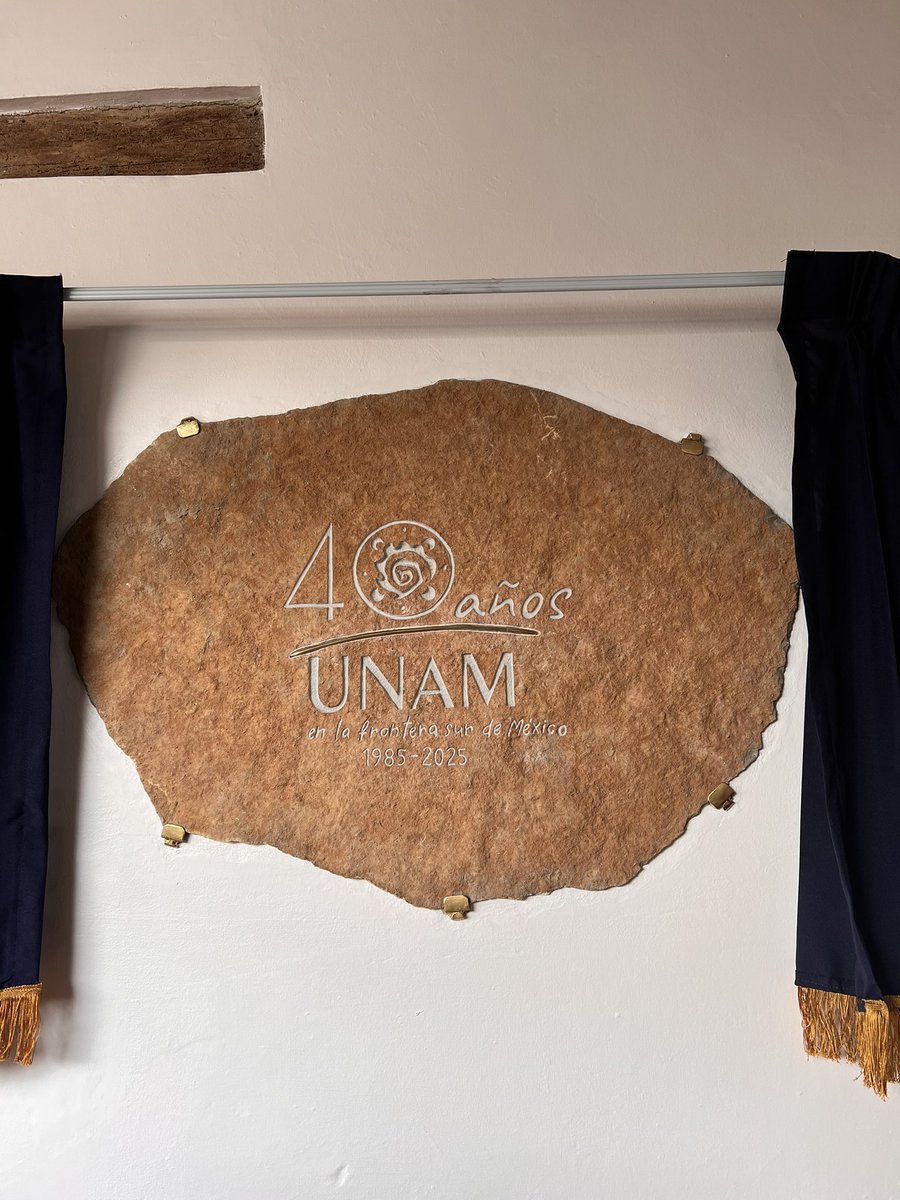 En la conmemoración del <a href="/CIMSUR/">CIMSUR-UNAM</a>