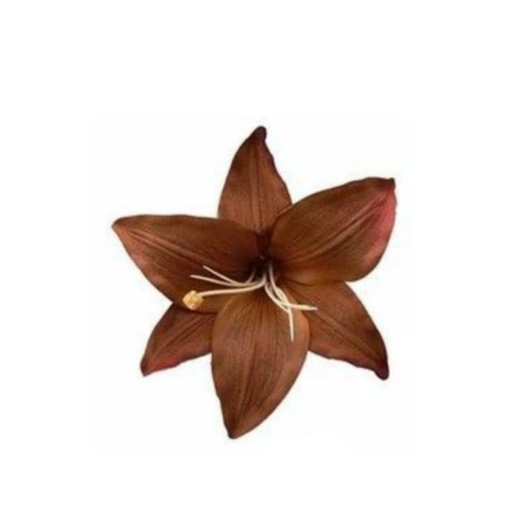 studyhala's tweet image. ✧ restarting !!

hi I'm hala !! not new to #studytwt but restarting this account for college ⋆˙⟡

✧ 07' liner, she/her
✧ studying ba english and literature 
✧ likes: epic the musical, reading, bts

#studytwt 
❤︎ / ↻ to be moots !!