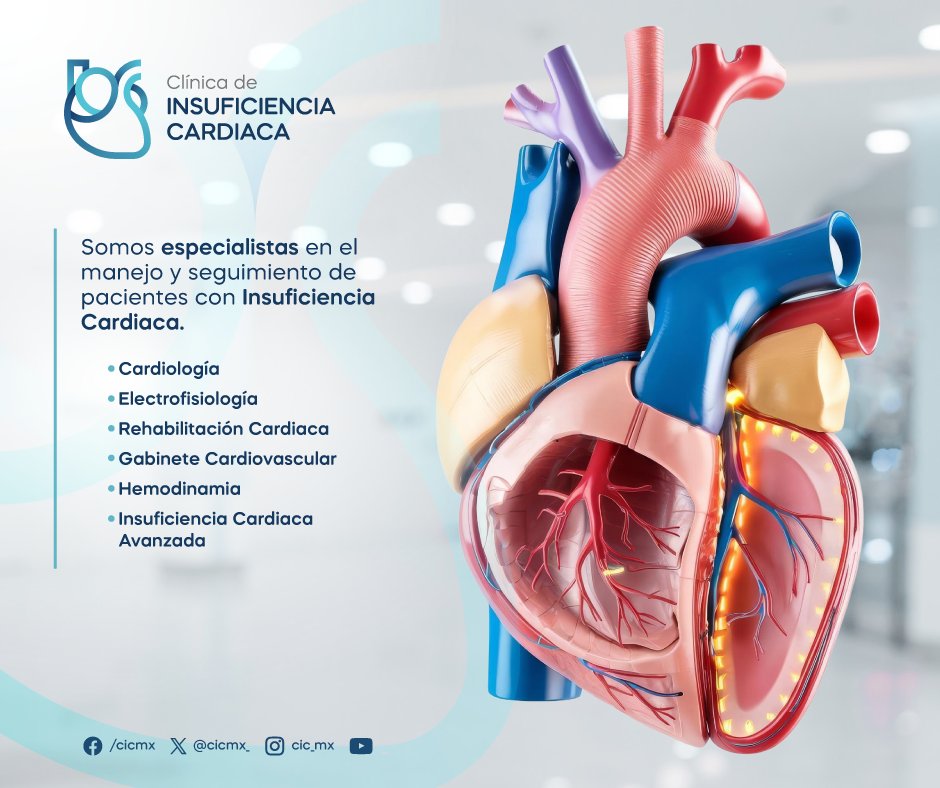 #Conocimiento_CIC
Somos especialistas en el manejo y seguimiento de pacientes con Insuficiencia Cardiaca.
👉¿Necesitas una valoración médica? 
☎ 33 3621 0808
📱 WhatsApp 3316031390
📍 Blvd. Puerta De Hierro 5090 Piso 1, S/N Col. Puerta de Hierro, #Zapopan, Jal.