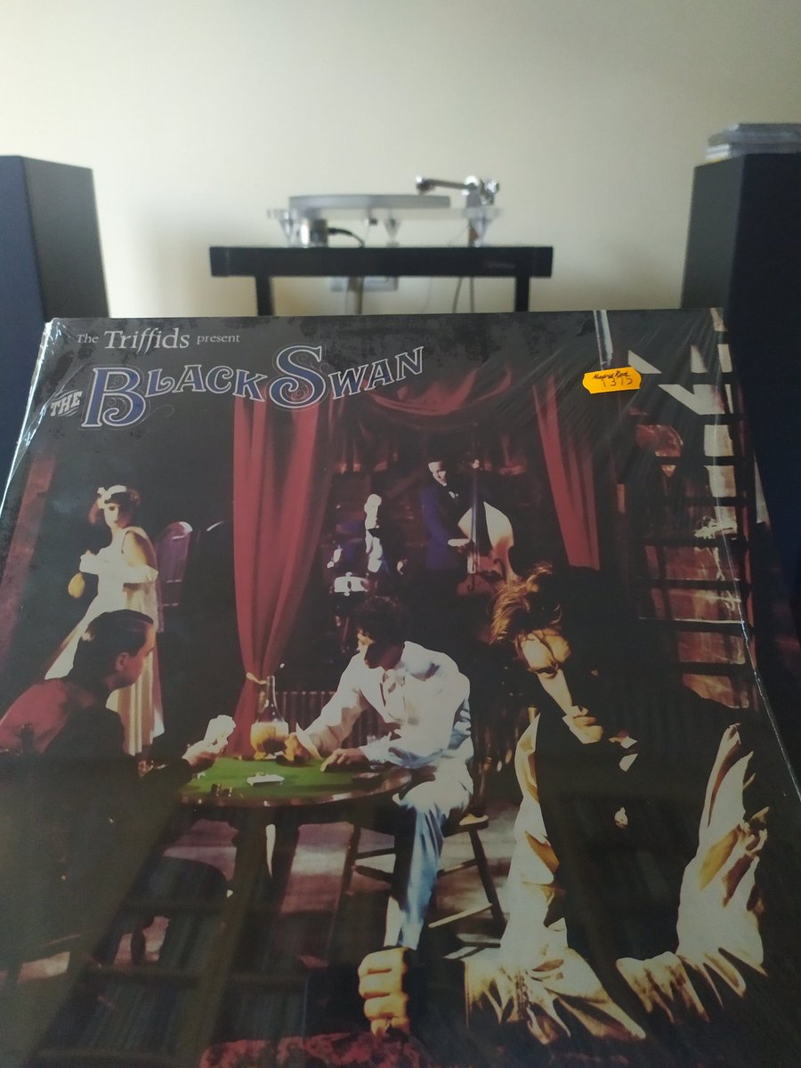 Por fin, el último disco de los Triffids que faltaba por entrar en casa...