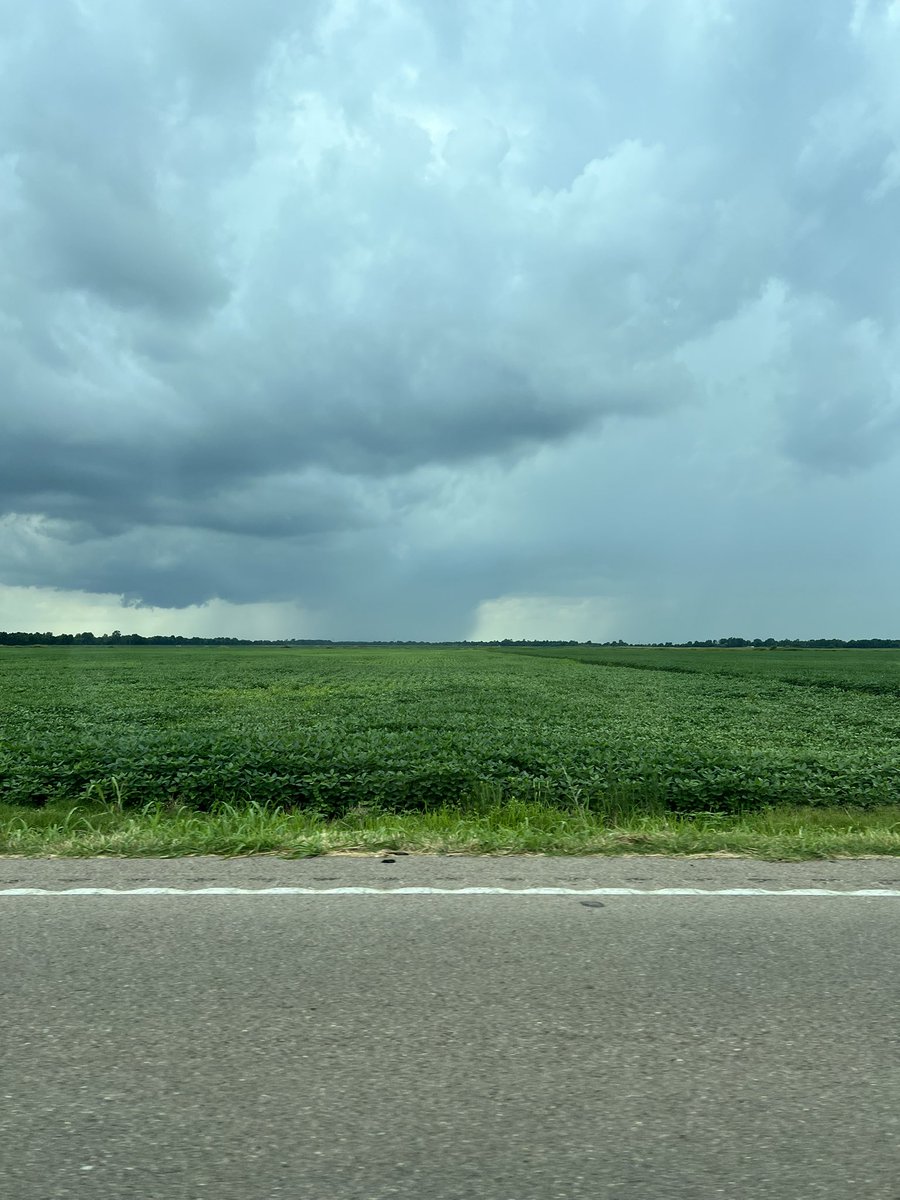 chris_c44's tweet photo. Found the storm. East of Hornersville. @ryanvaughan @kbalentinewx @WXAaronJC #arwx #mowx https://t.co/2LrjemCtDu