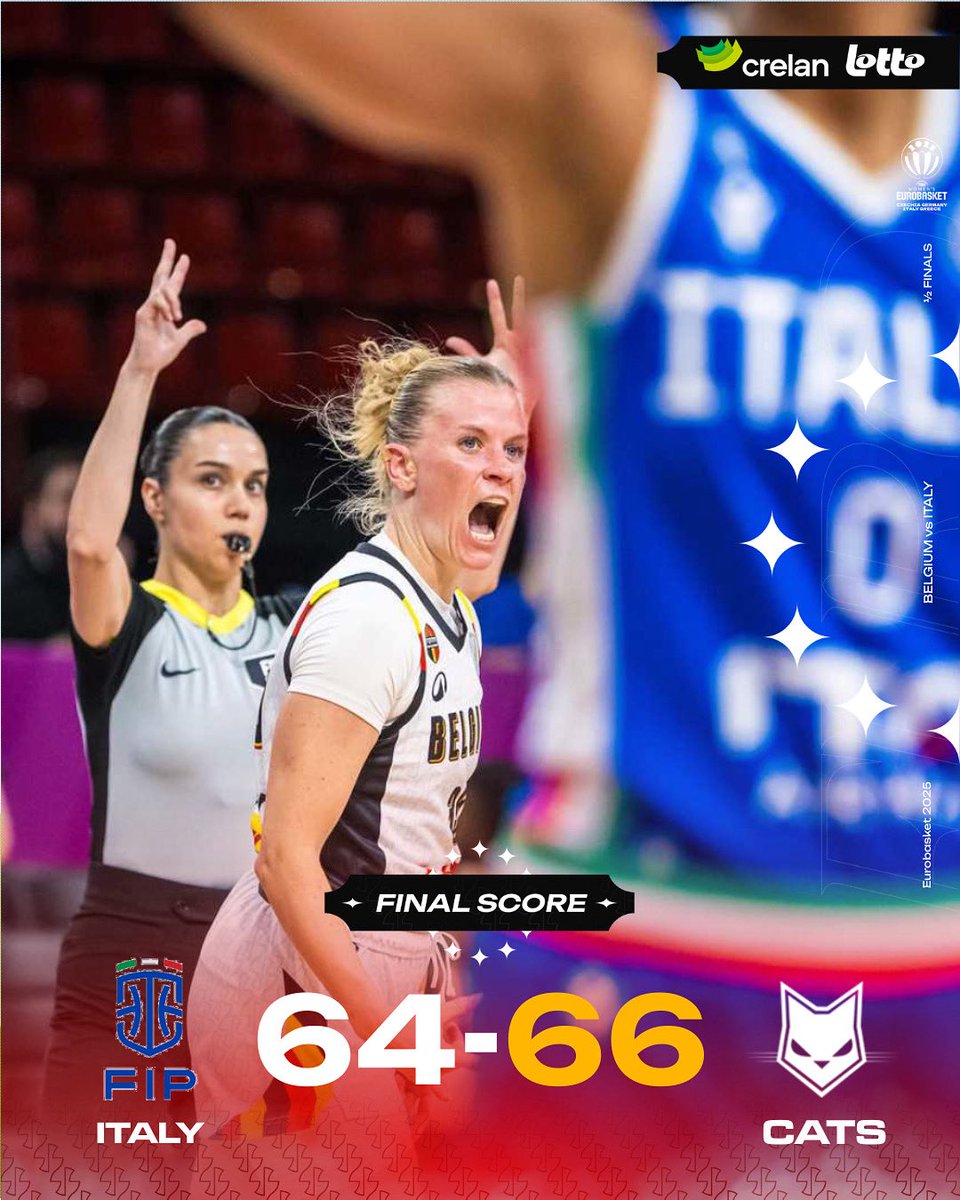 Belgian Cats tweet media