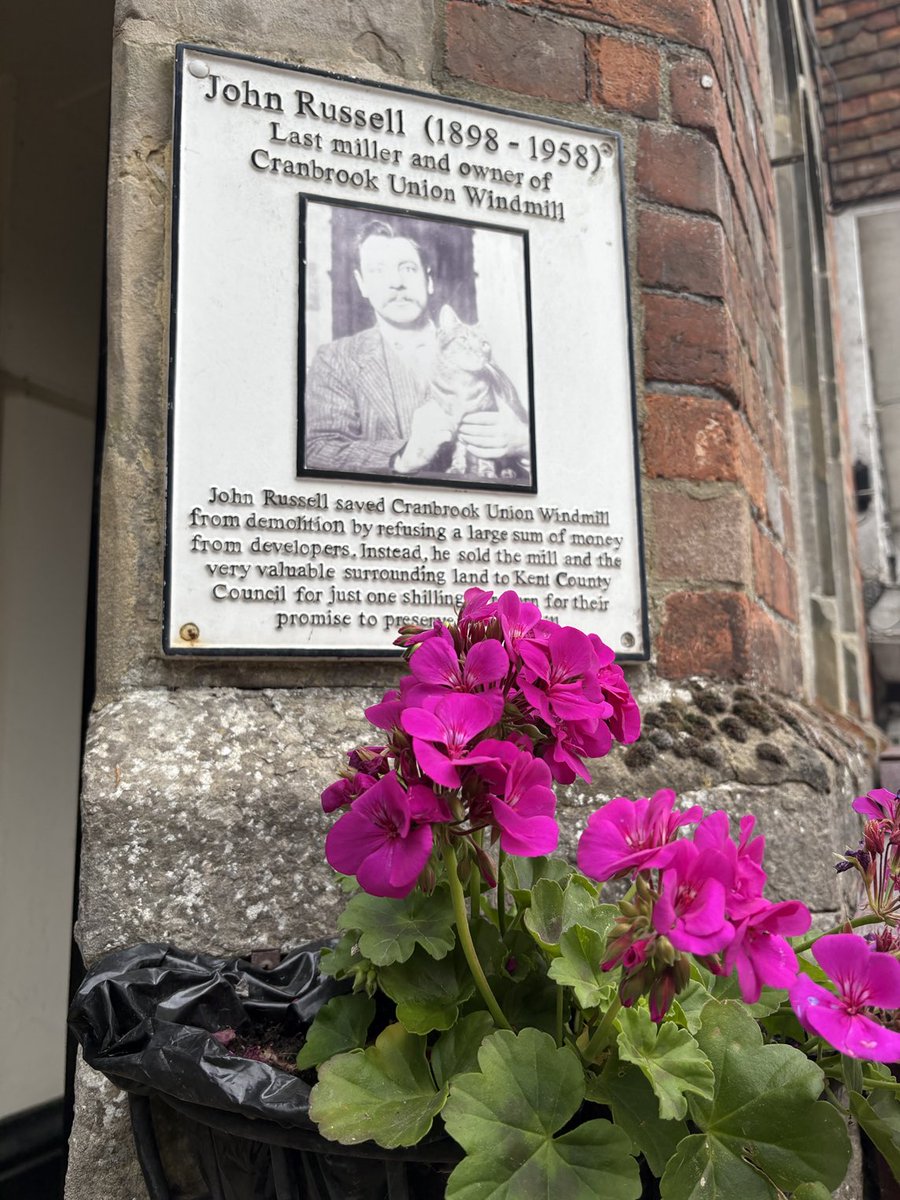 Linda White (@greenspond555) on Twitter photo 