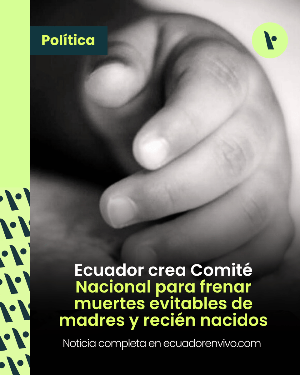 ecuadorenvivo's tweet image. Ecuador conforma el Comité Interinstitucional de Salud Materno Neonatal. @Salud_Ec y @IESSec buscan reducir muertes evitables de madres y recién nacidos con acciones coordinadas.

🔗 Conoce más sobre este pacto por la vida:
ecuadorenvivo.com/blog/2025/06/2…
#SaludMaterna #VidaPrimero