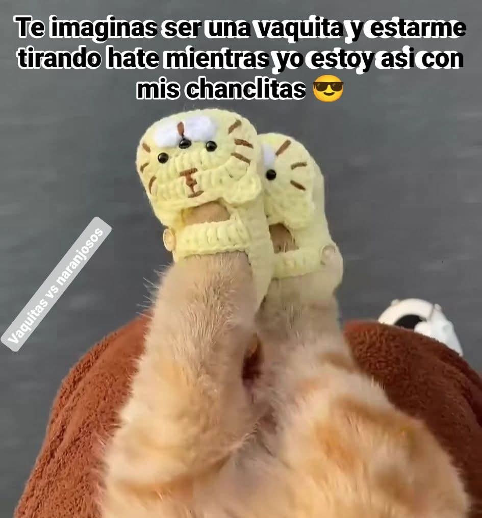 AlineNorena's tweet image. 