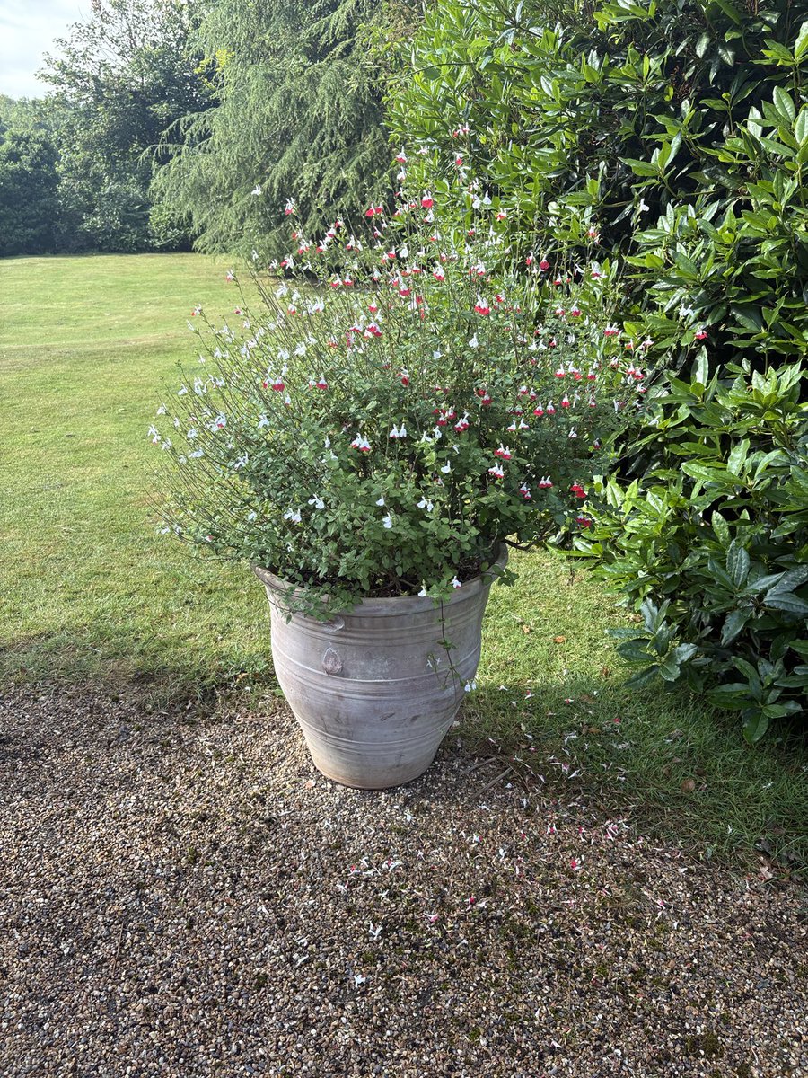 Sissinghurst Farmhouse B&amp;B